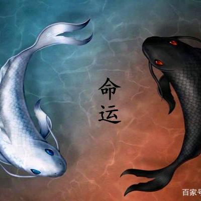 领(>🐅<)悟