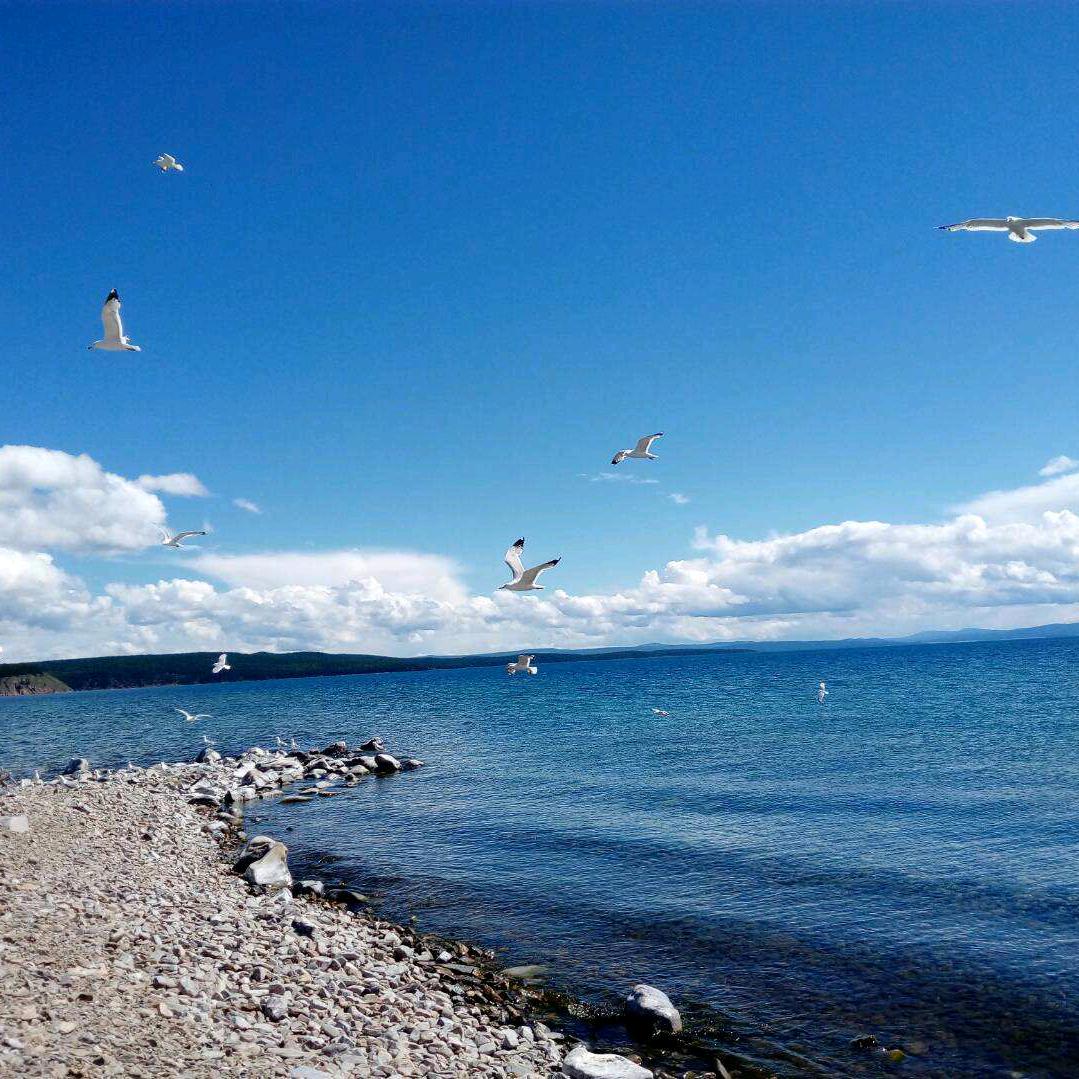 坐着蜗牛去拉萨