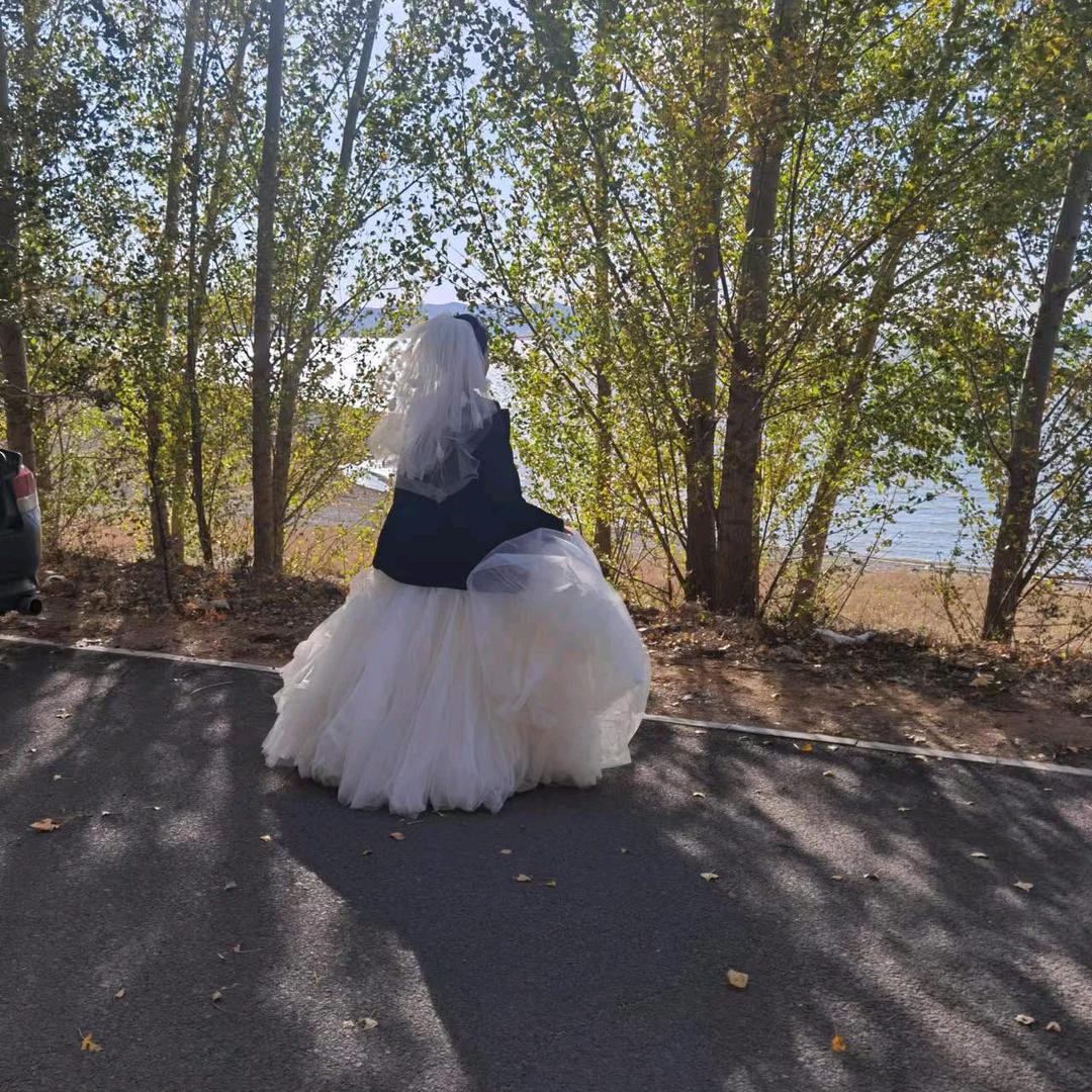 内蒙古通辽特产风干牛肉干