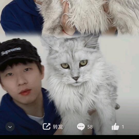 冷沟云