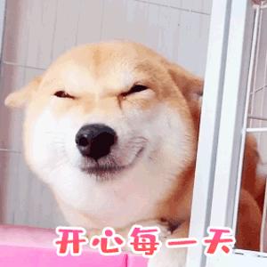 @晓夏