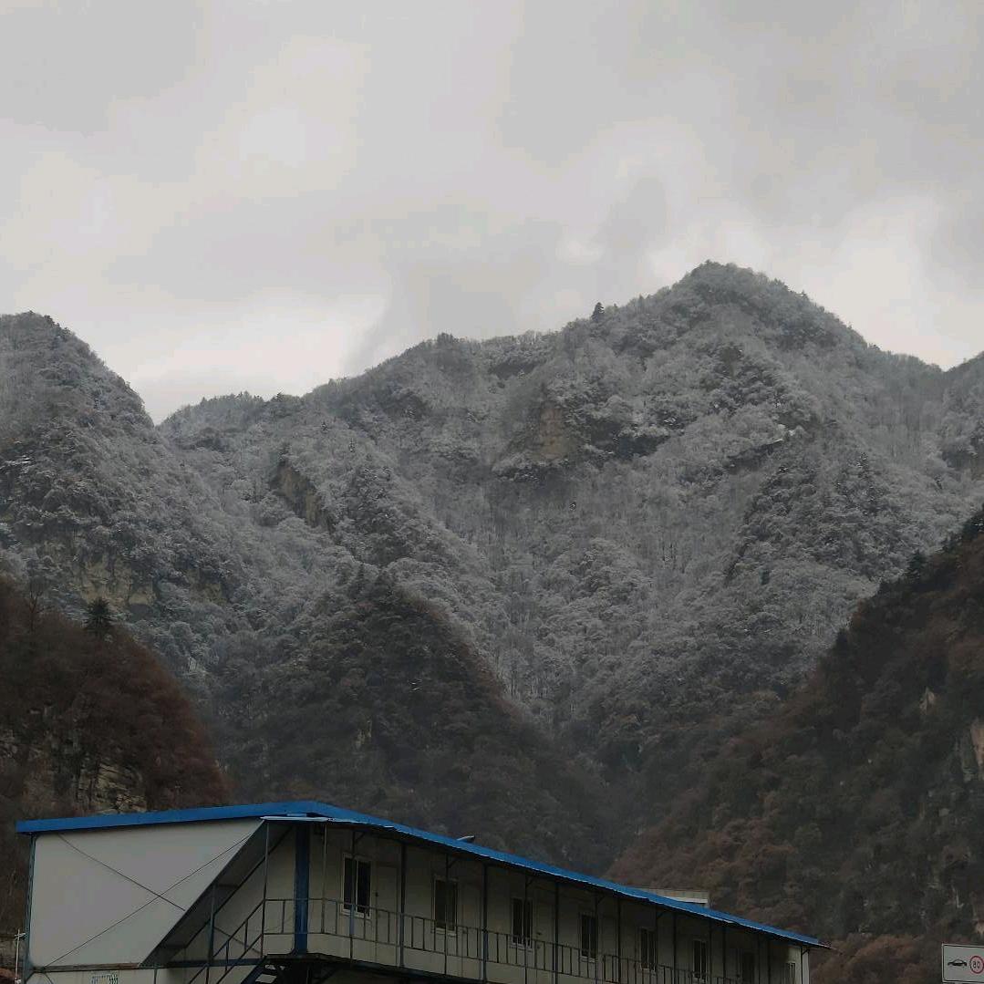 偷心盗贼