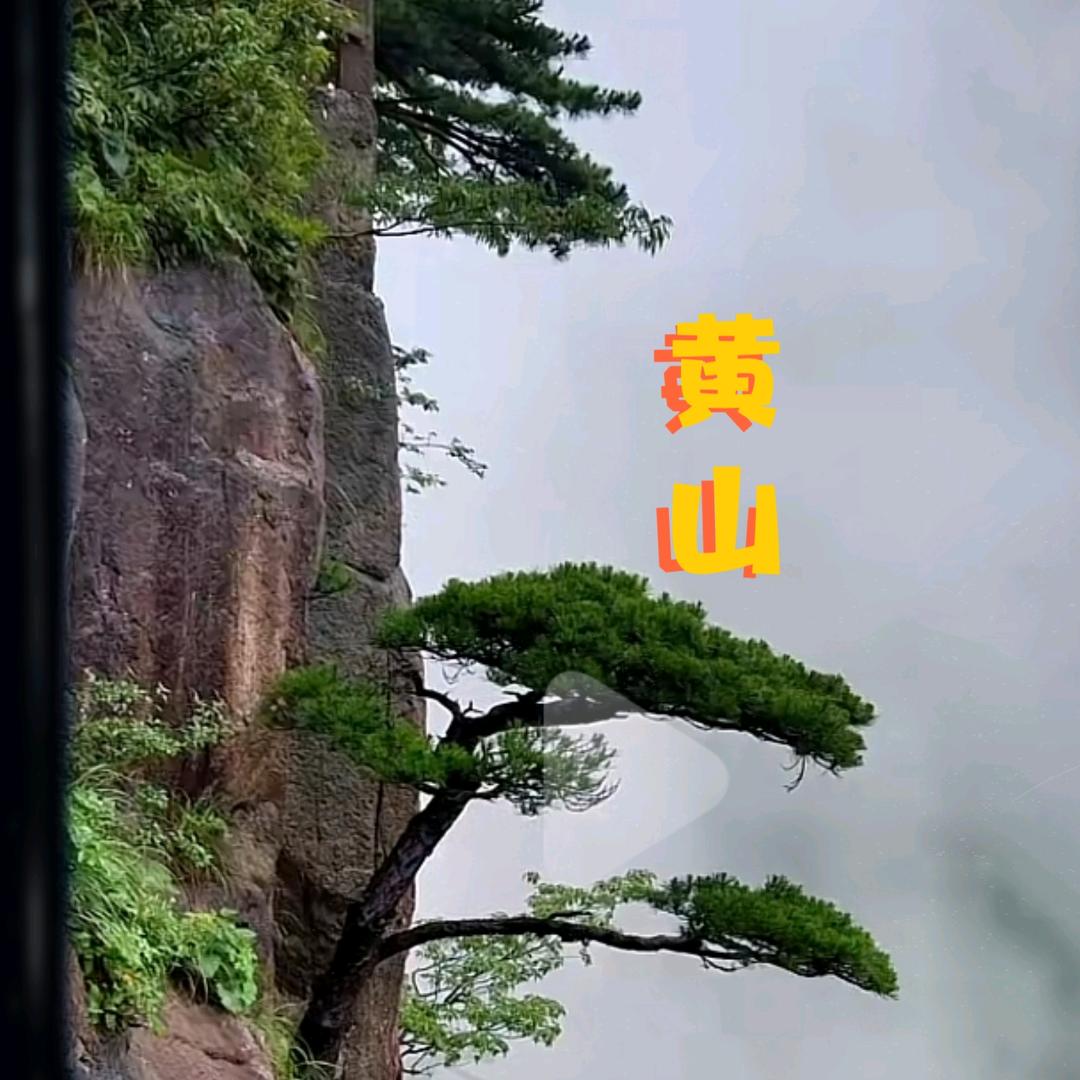 黄山云海