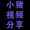 小猪网络搞笑视频分享
