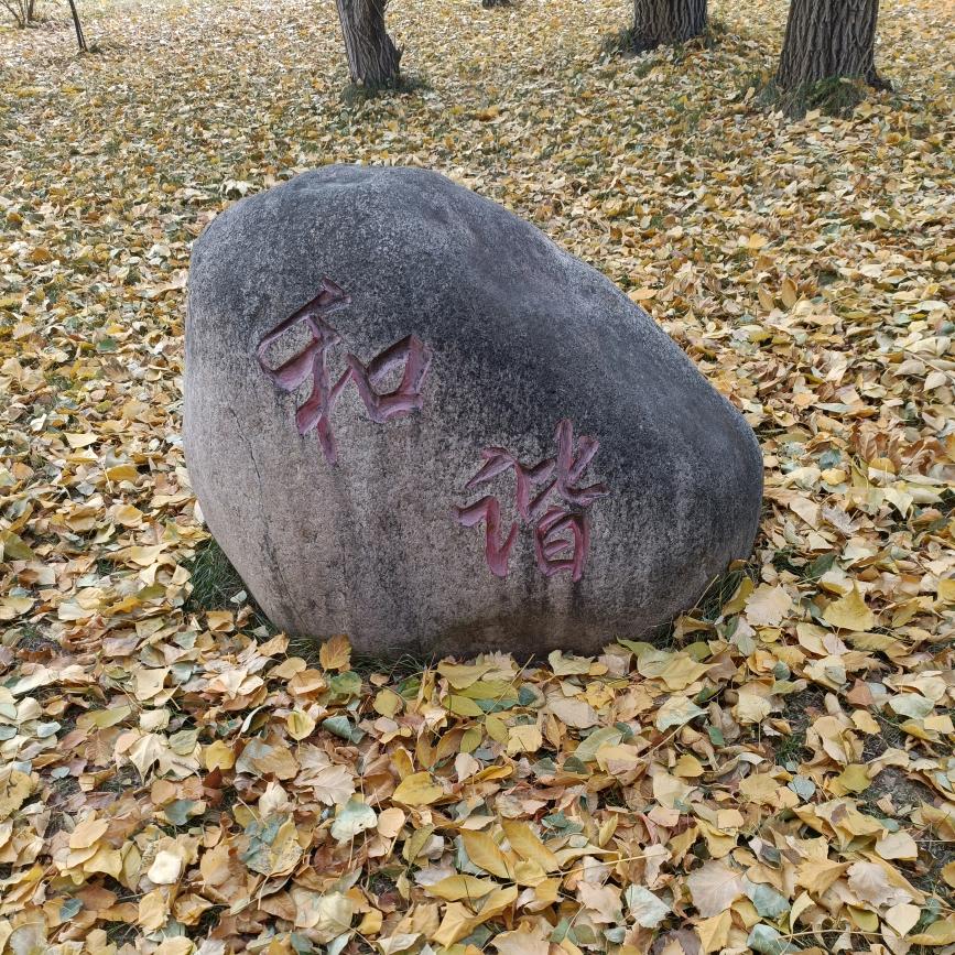 萍儿