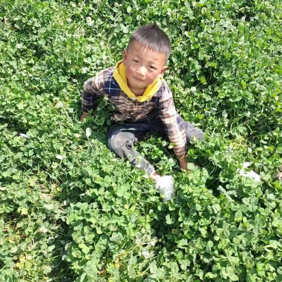 云C☞看淡了所有☜☆☆