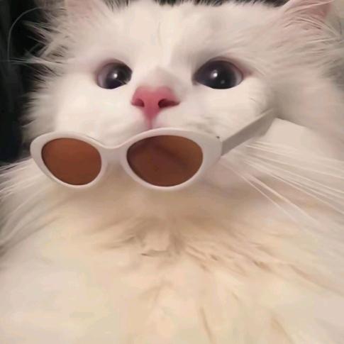 ʰᵉˡˡᵒ𝙠𝙞𝙩𝙩𝙮.