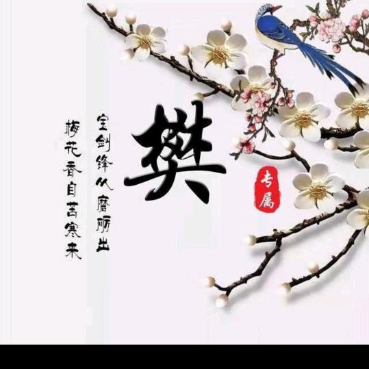 铁老大