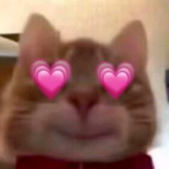 汤汤汤汤汤球嘞