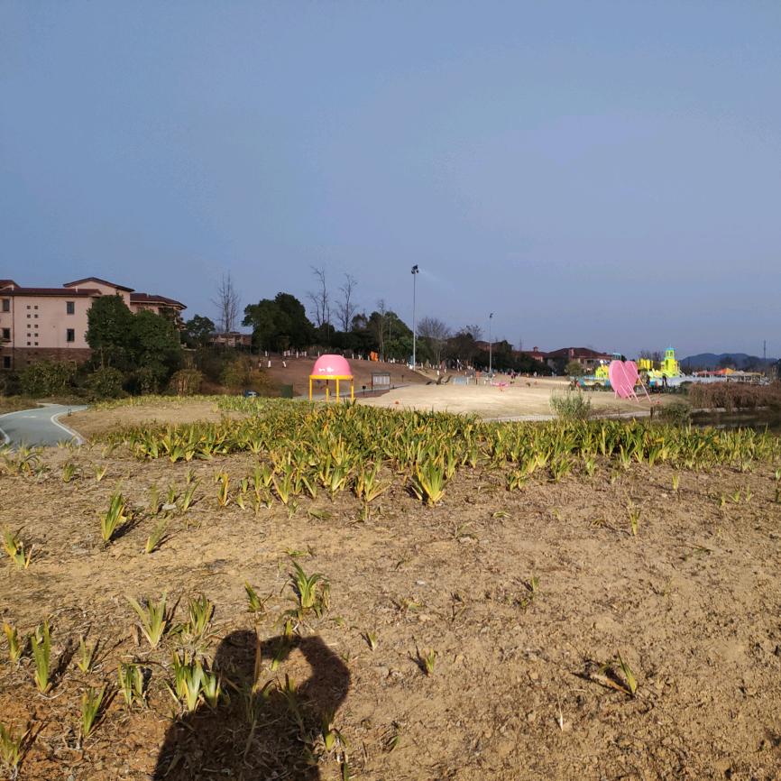 贵州小老板