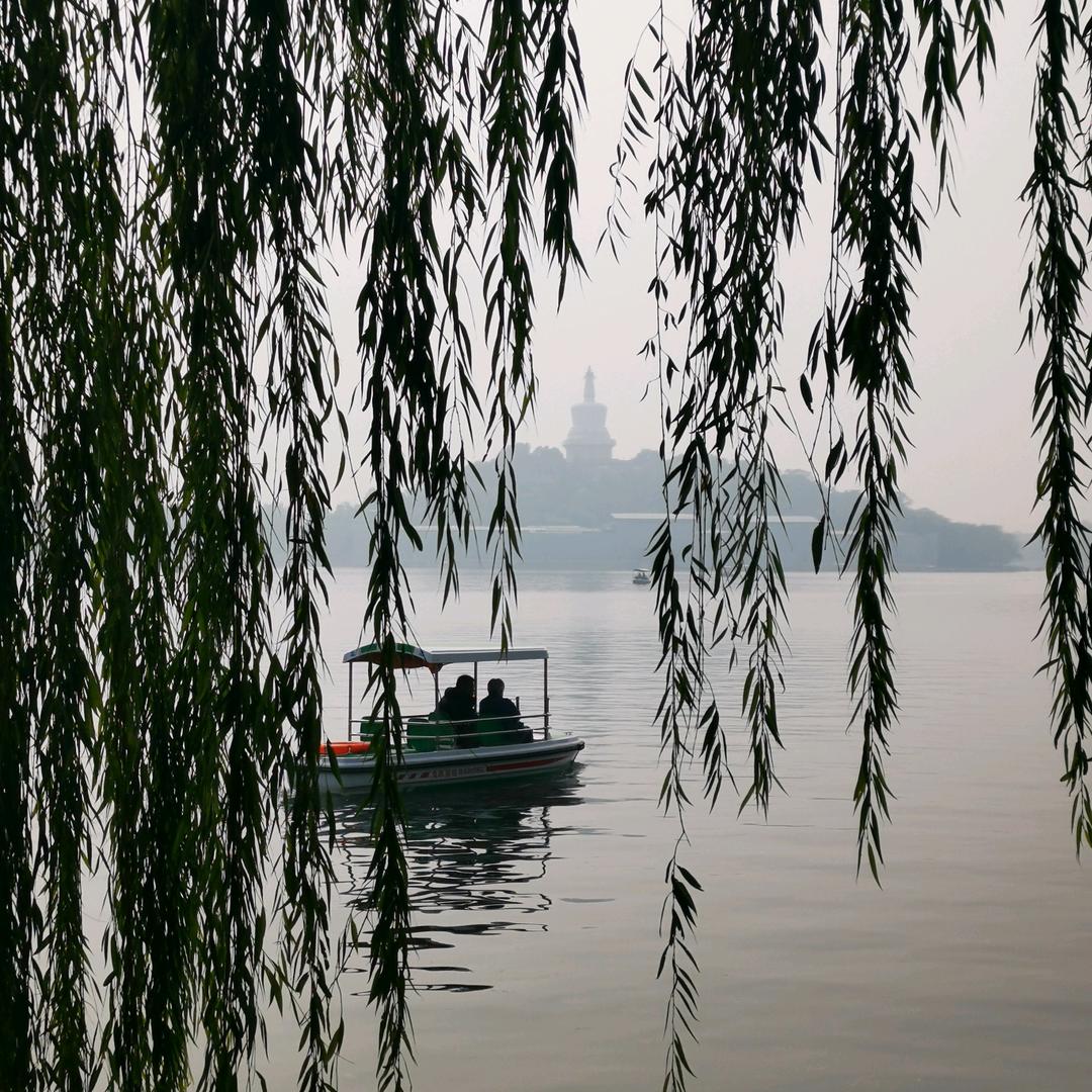 飞扬跋扈