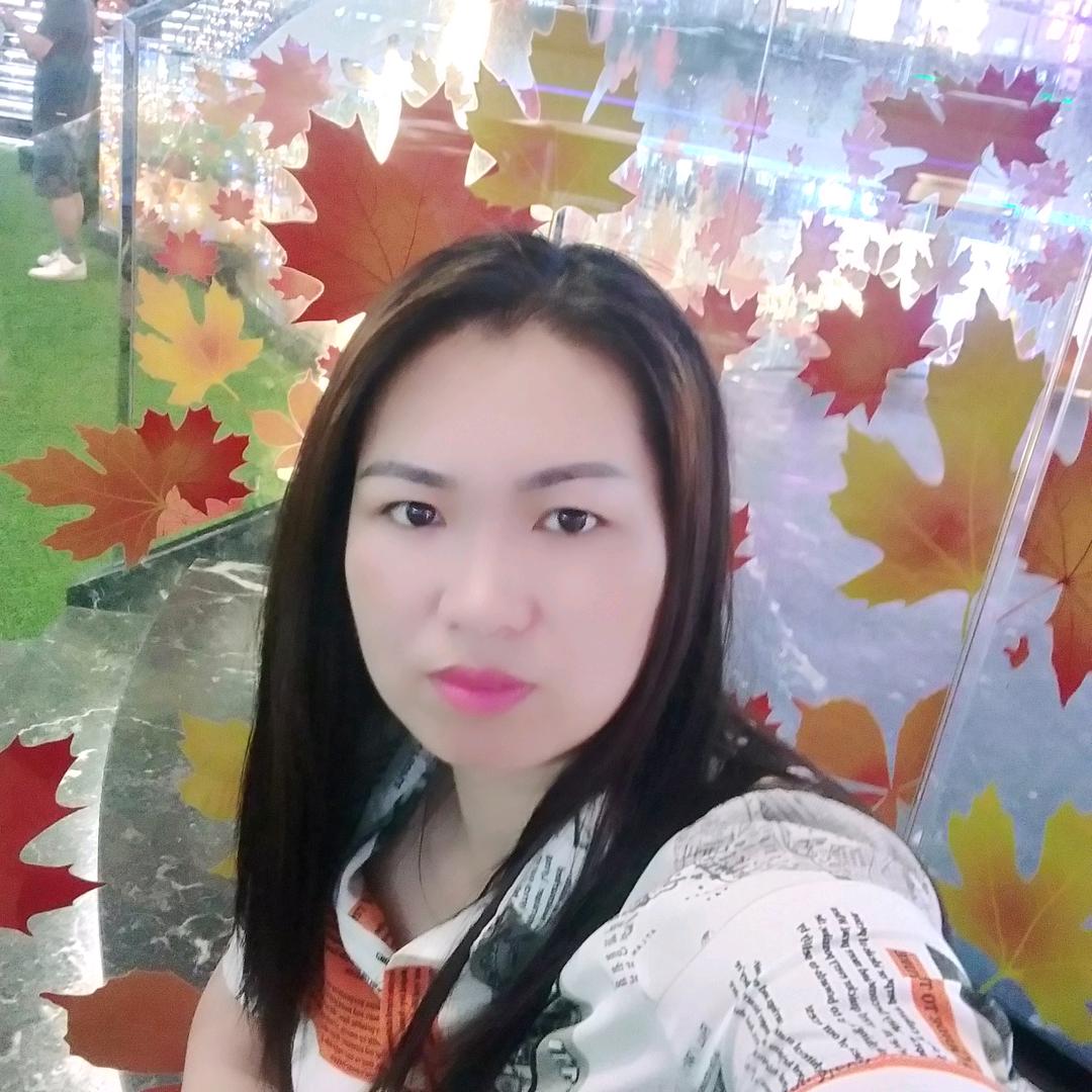 琴姐，四海为家