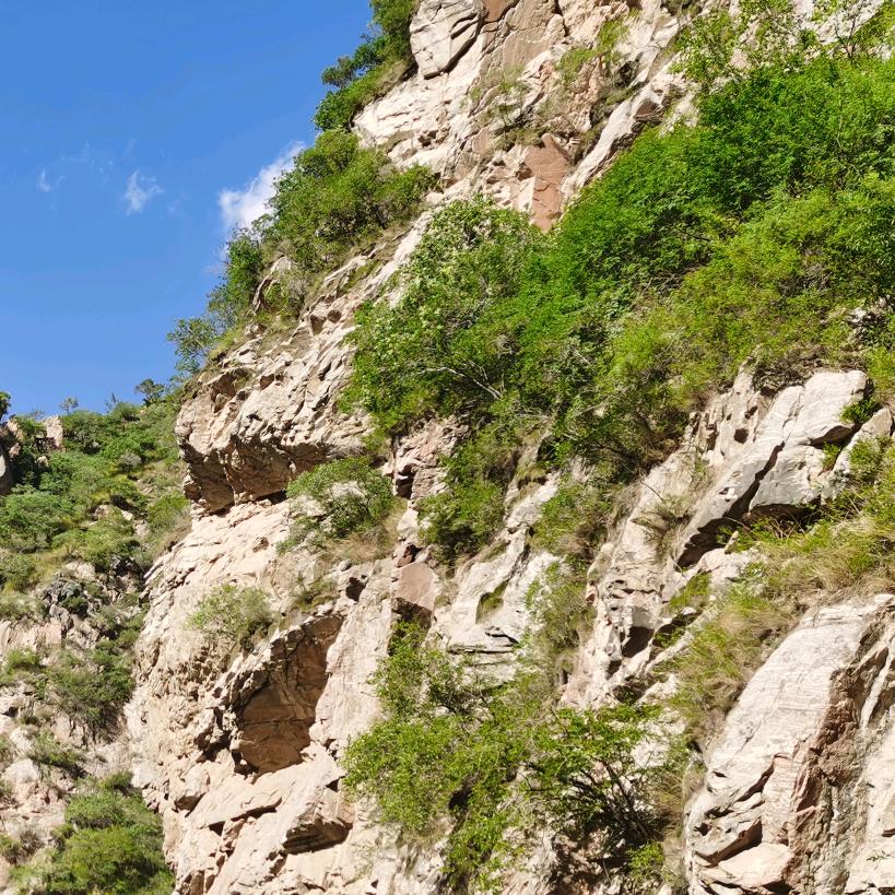 山西省注销营业执照找小张