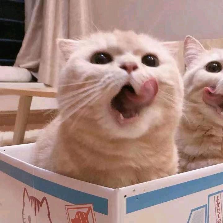 爱旅行的黄色芒果