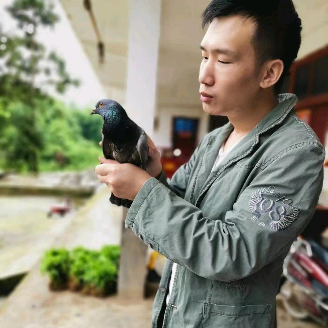 大王叫我来巡山