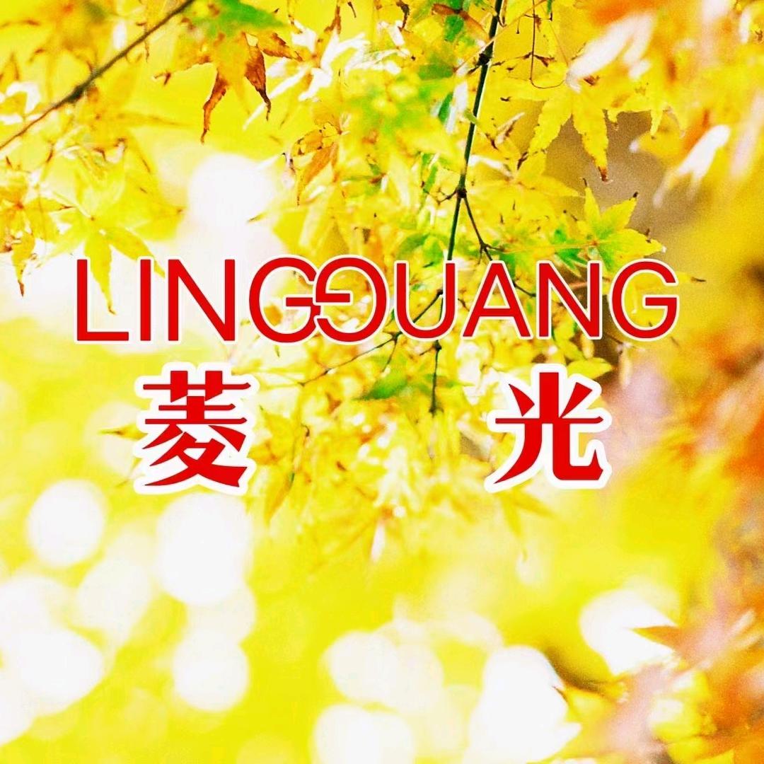 菱光皮鞋桃坞路工厂店