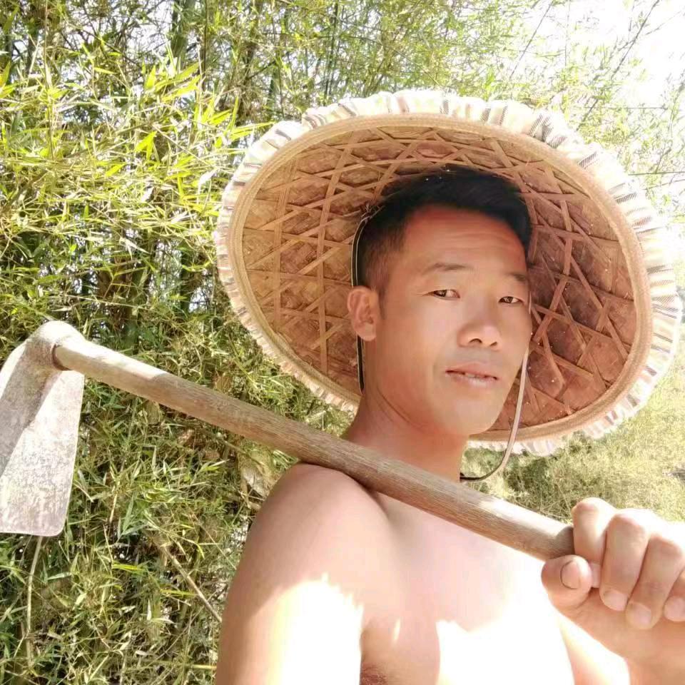 开心哥