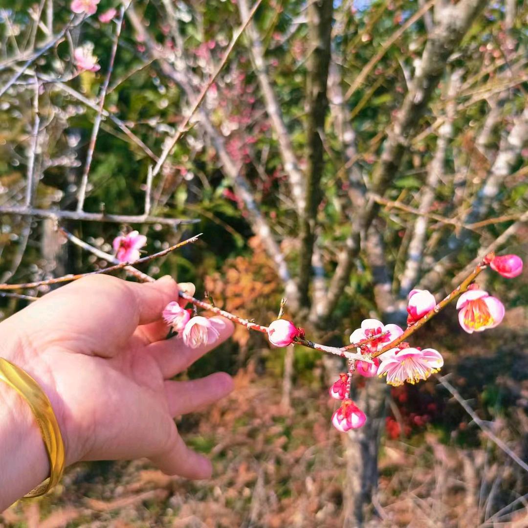 是金子总会发光的