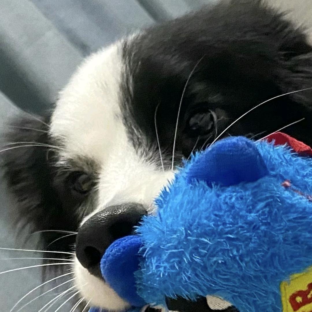 果果我要认识你