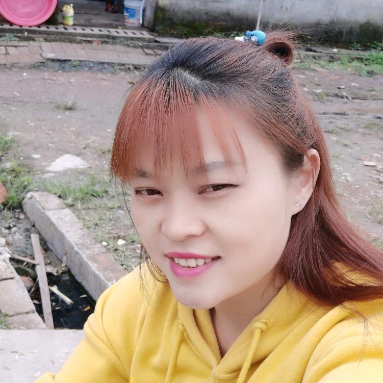 凤琴