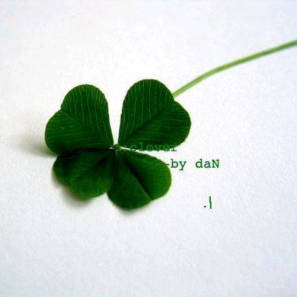 🍀小幸运🍀