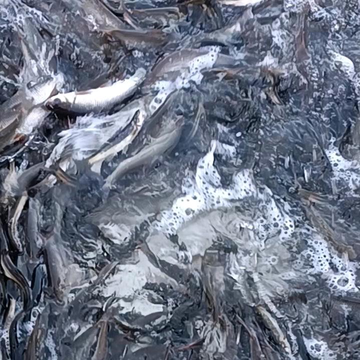 沈阳奋斗钓场