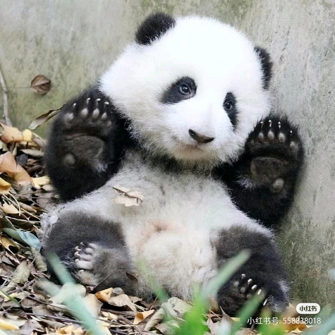 莫欺少年心