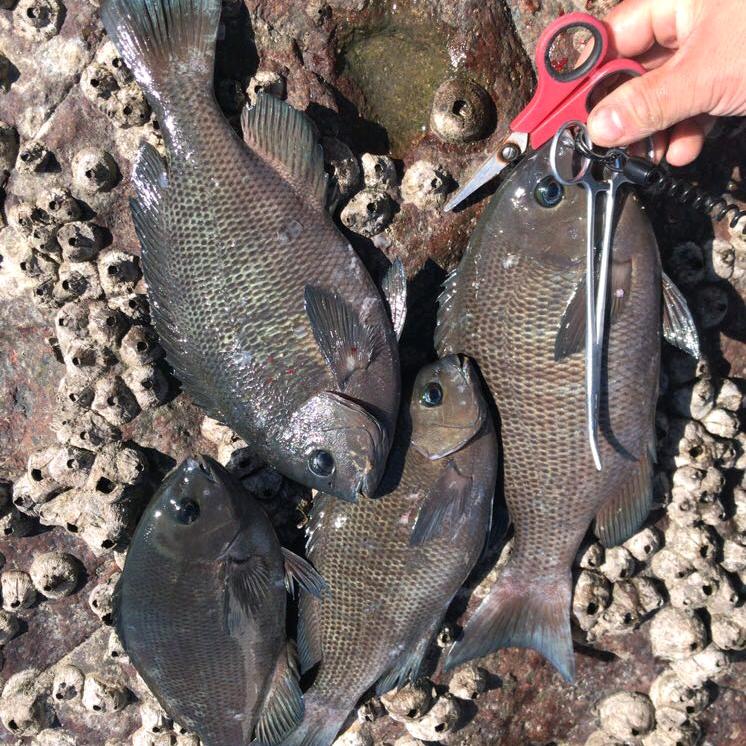 ឩ໊၀ឩ໊ᰁ᭄时来ઈོ运转࿐