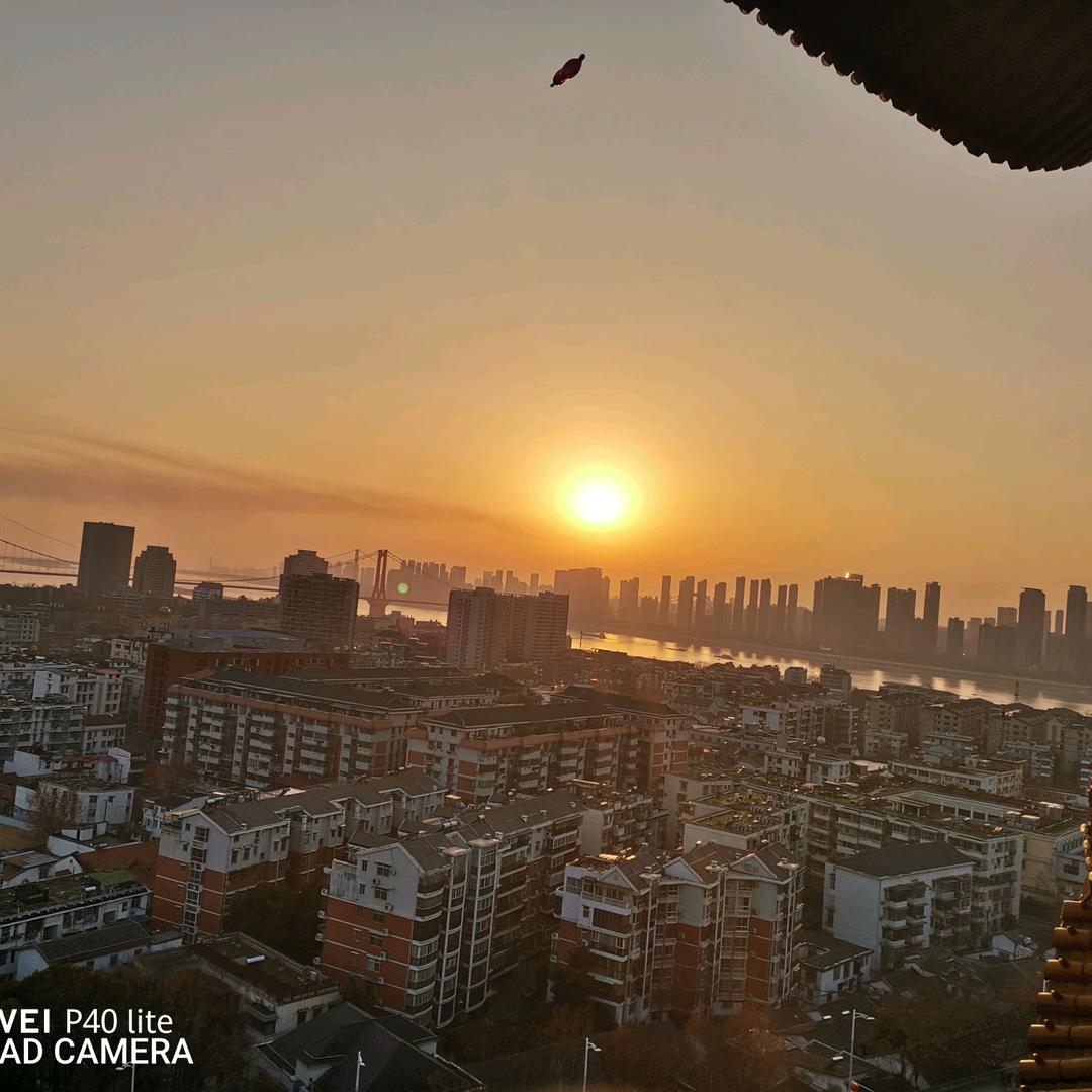 康普泛达罗格朗综合布线材料批发