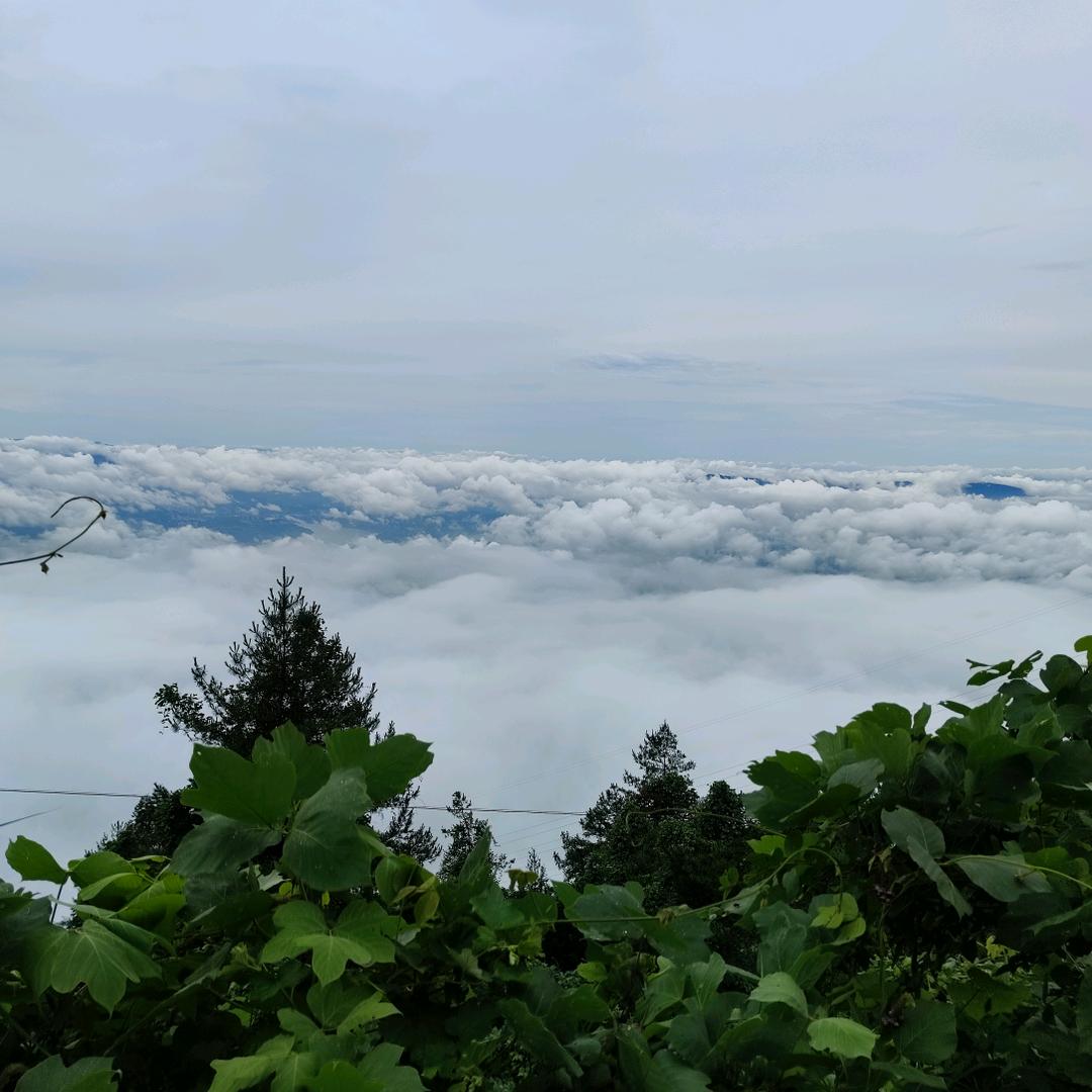 仰望天空的鱼儿