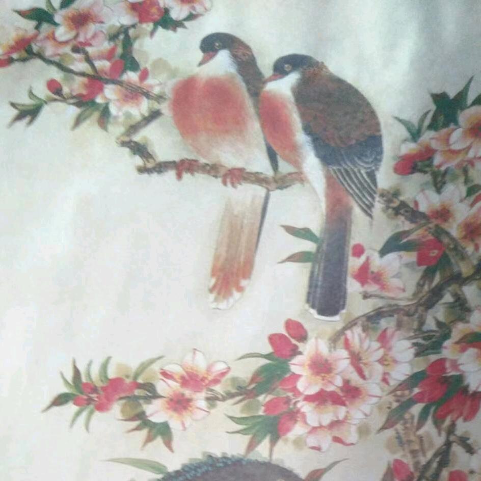 用户8829157888356日月