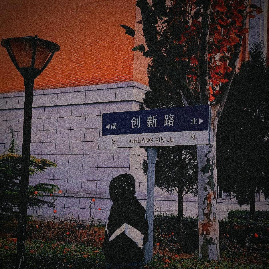 情为何