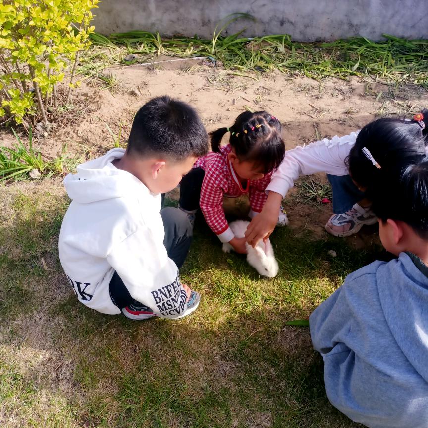 都是感叹号_