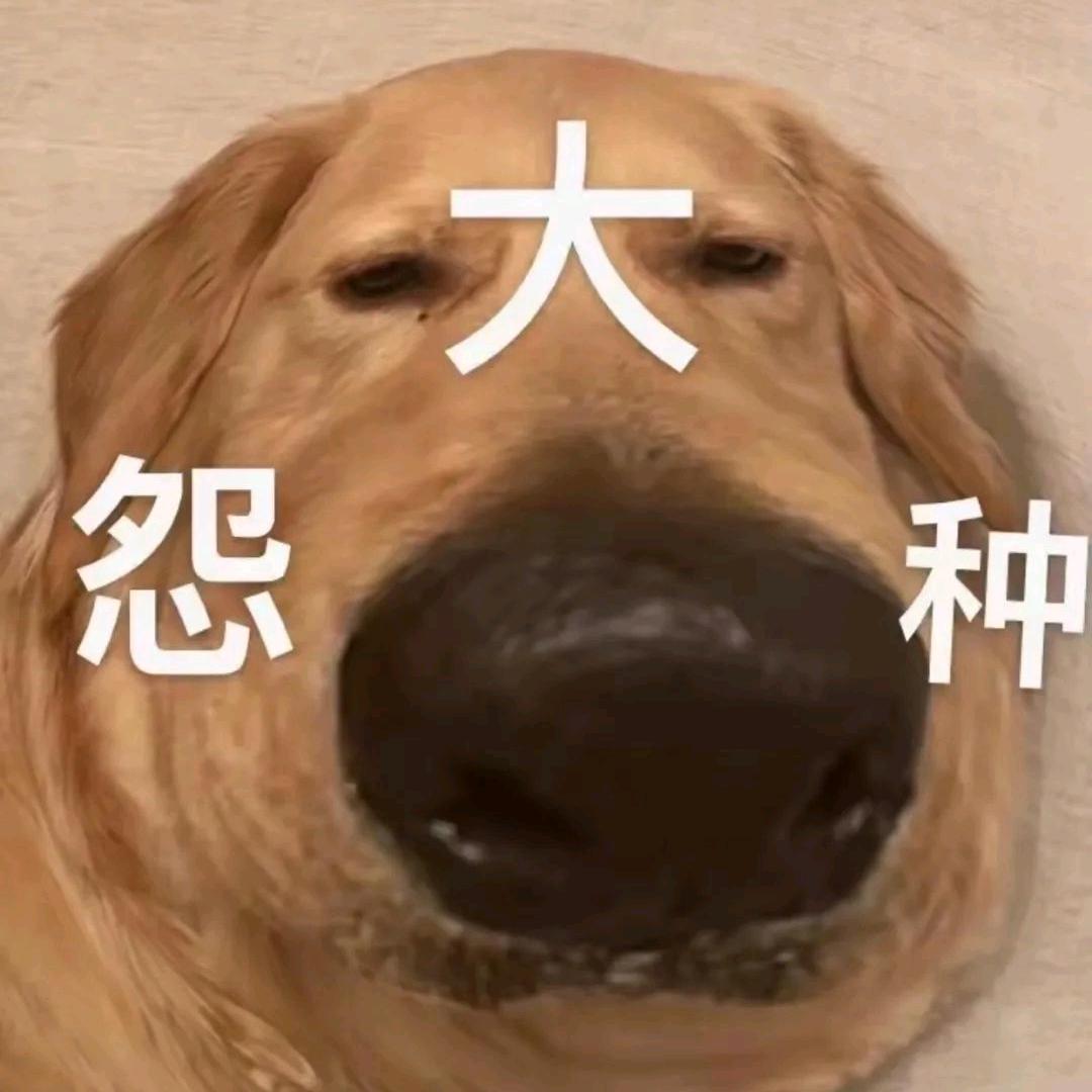 陈里人