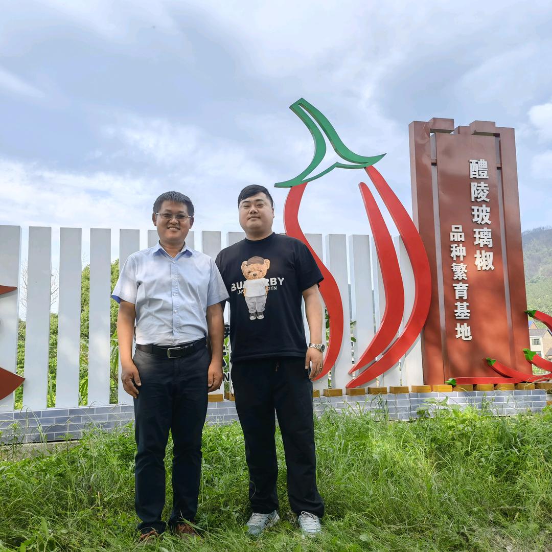 醴陵玻璃椒-云岩社区