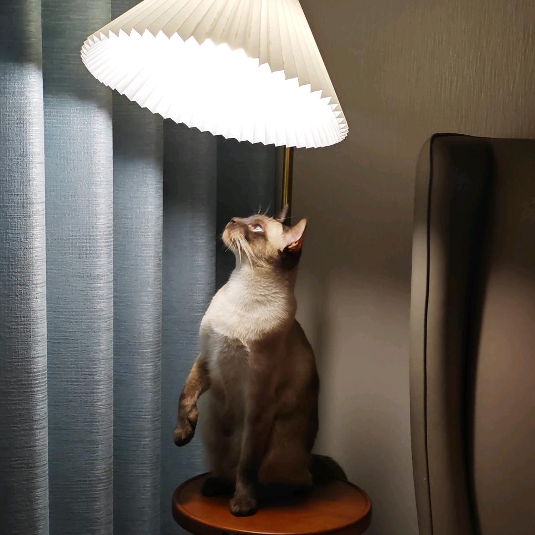 一江春水向东流（老A）