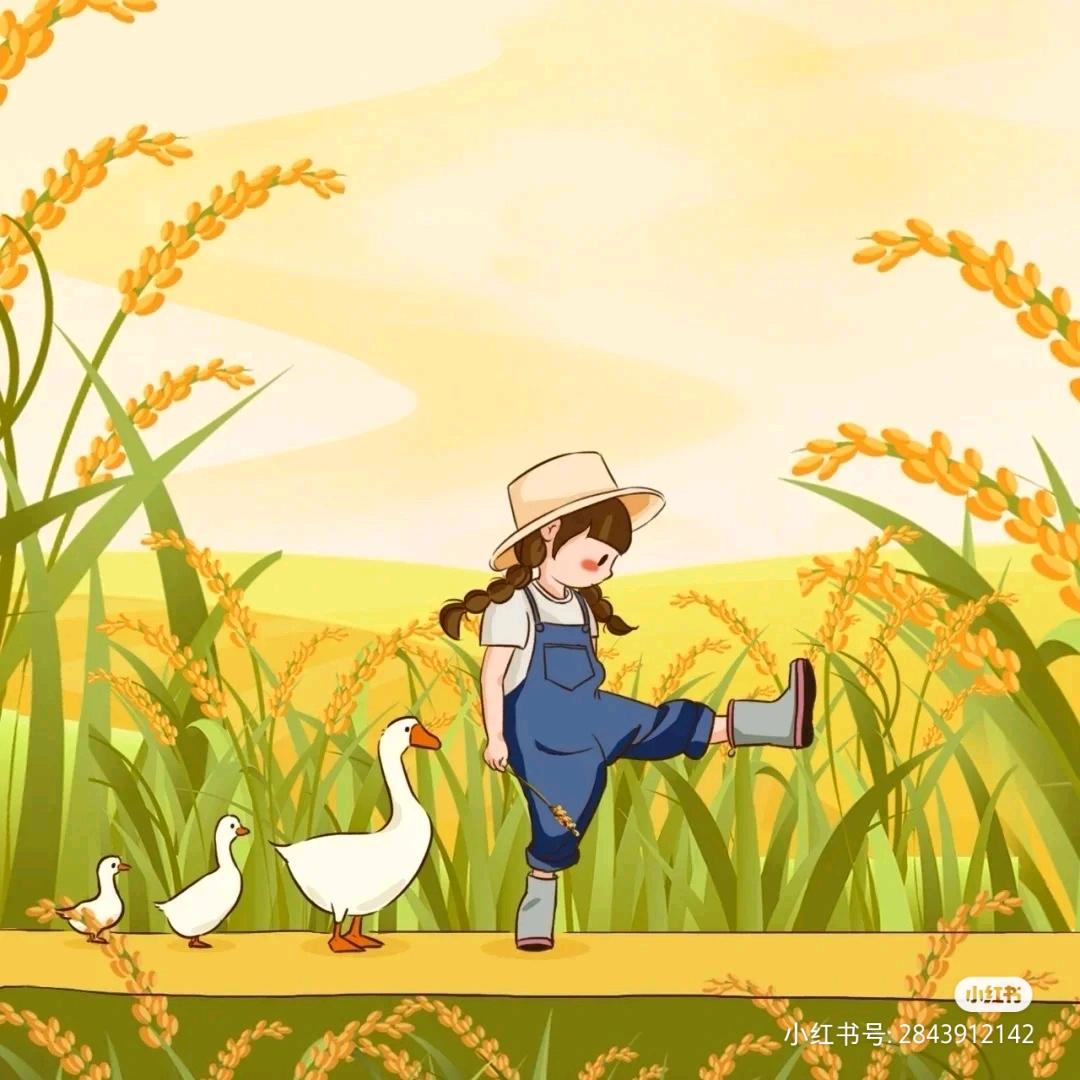 小沐航的幸福生活