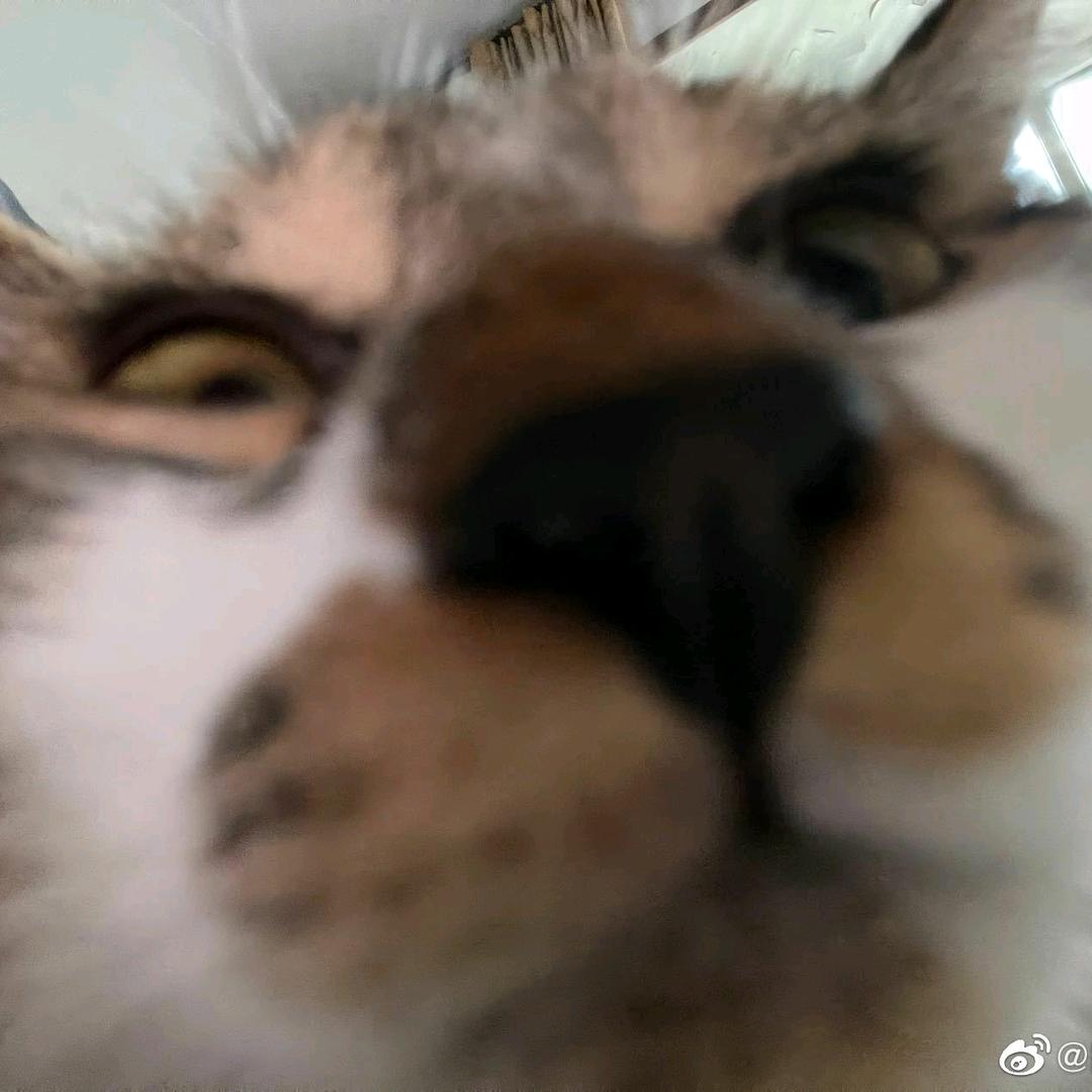 风雨彩虹🌹🌸