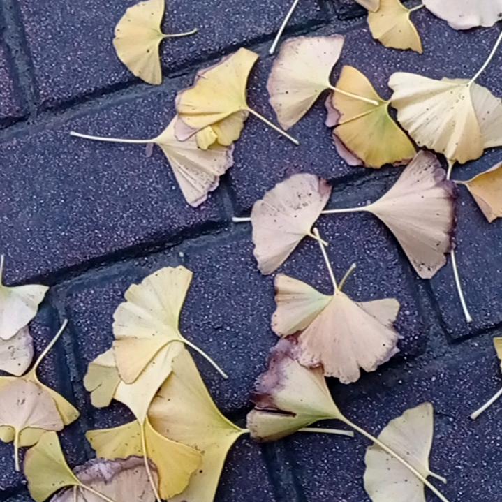 中国能健