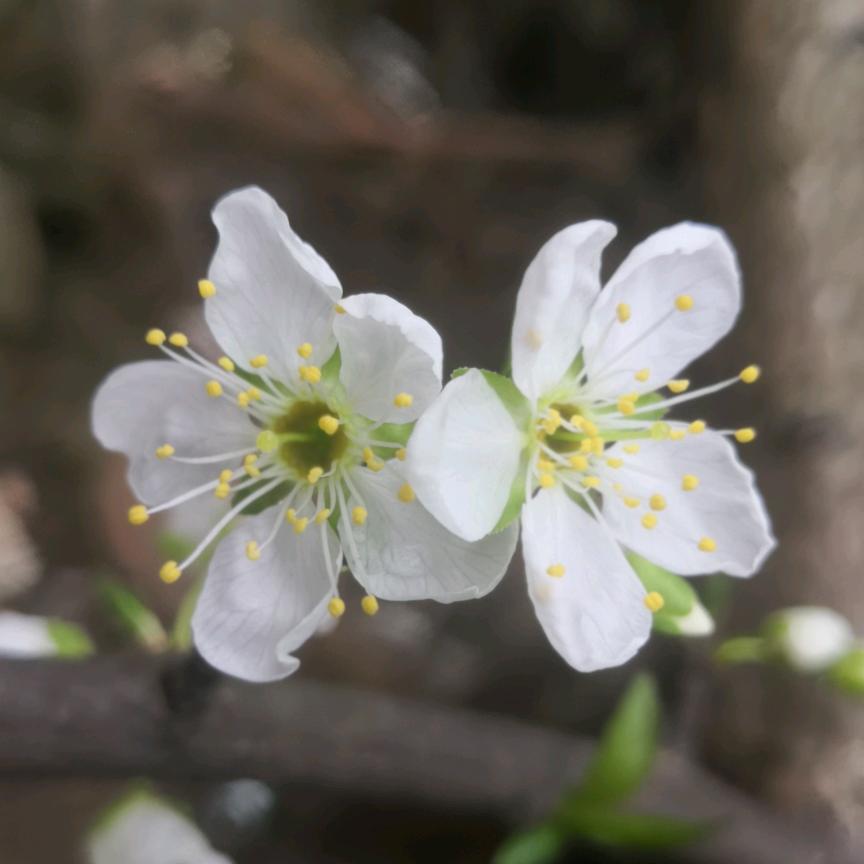 《记录我的初心》
