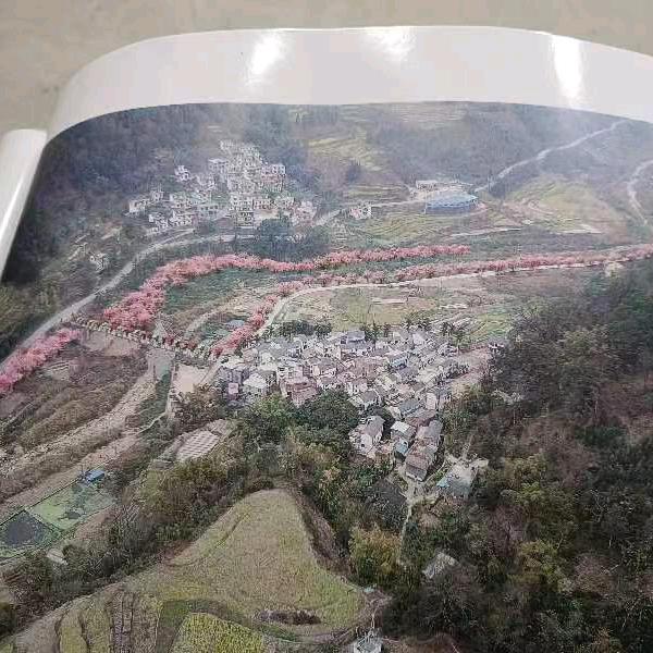 心情如水
