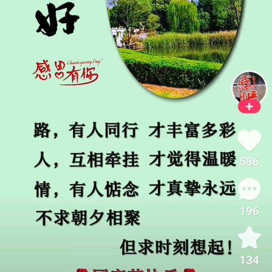 坤鹏展翅