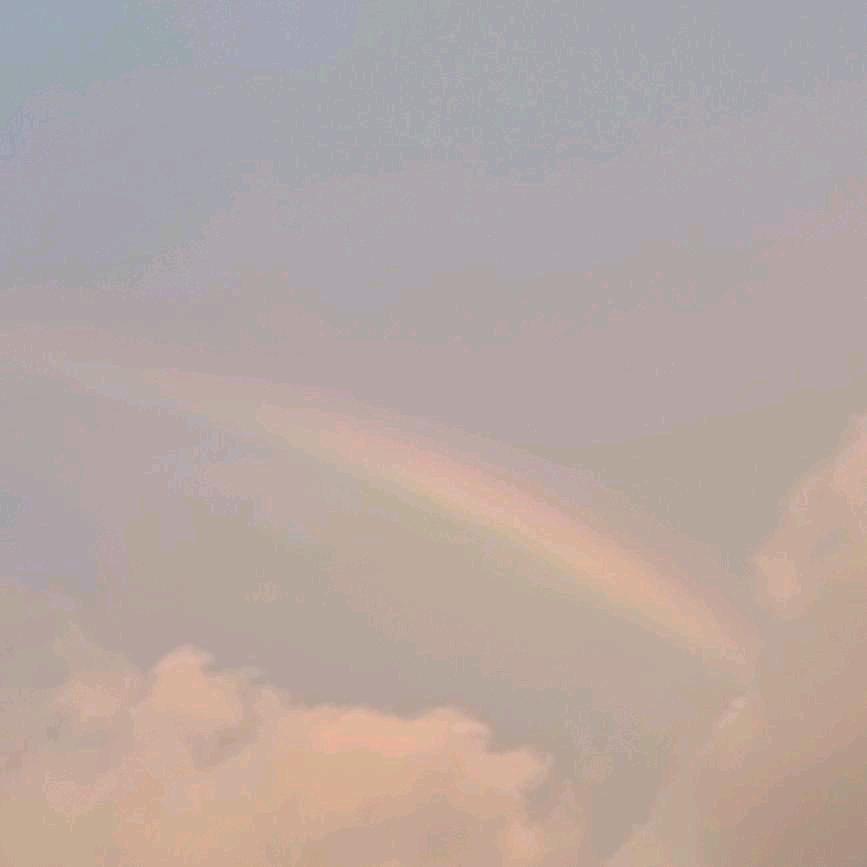 大大大大的西红柿