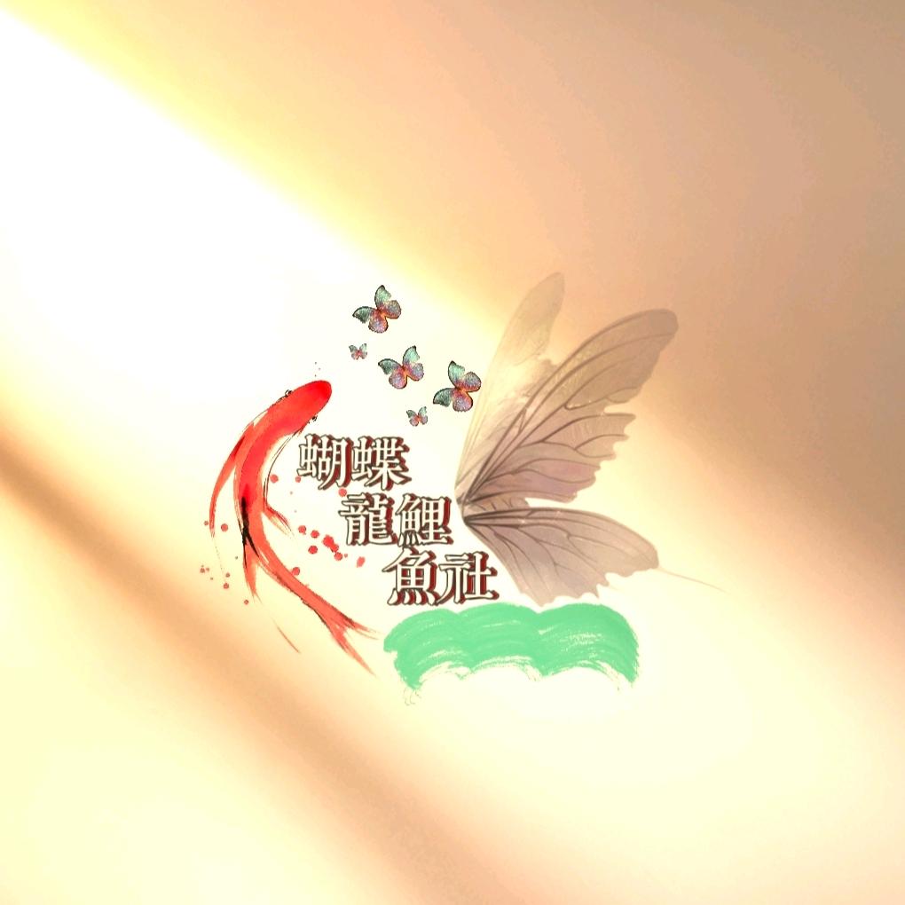 蝴蝶龍鲤鱼社