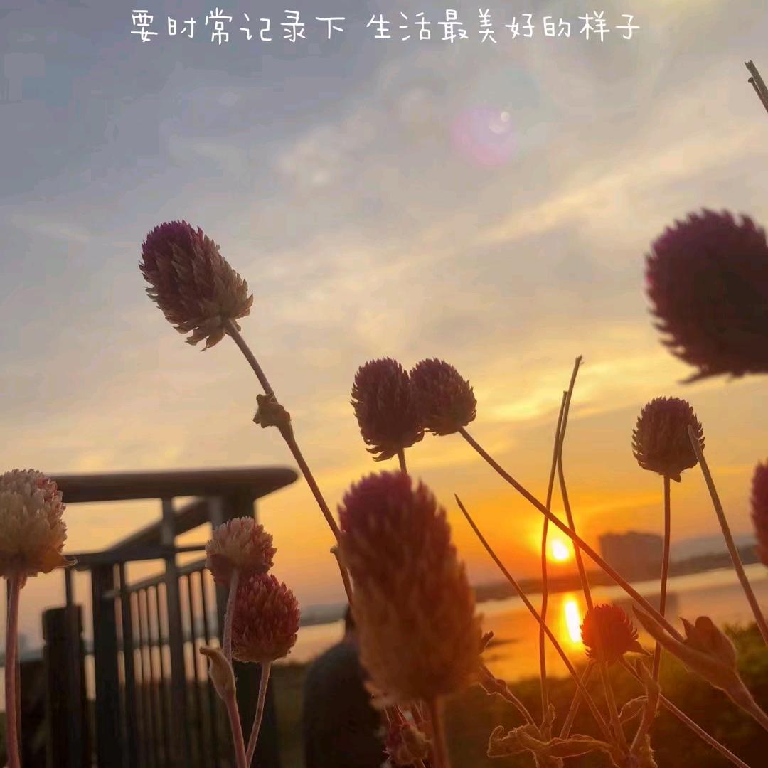 情感语录💋 好物