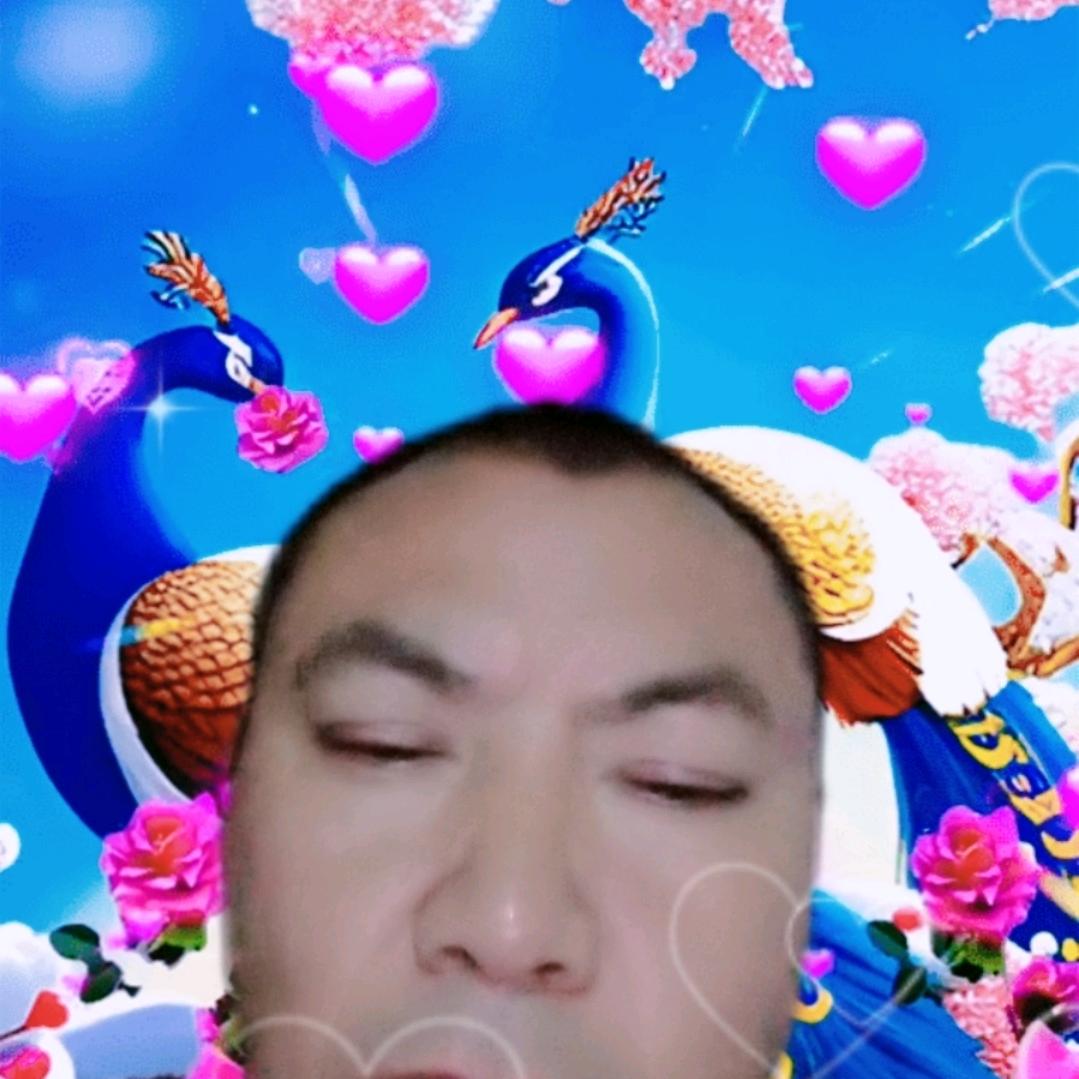 真心