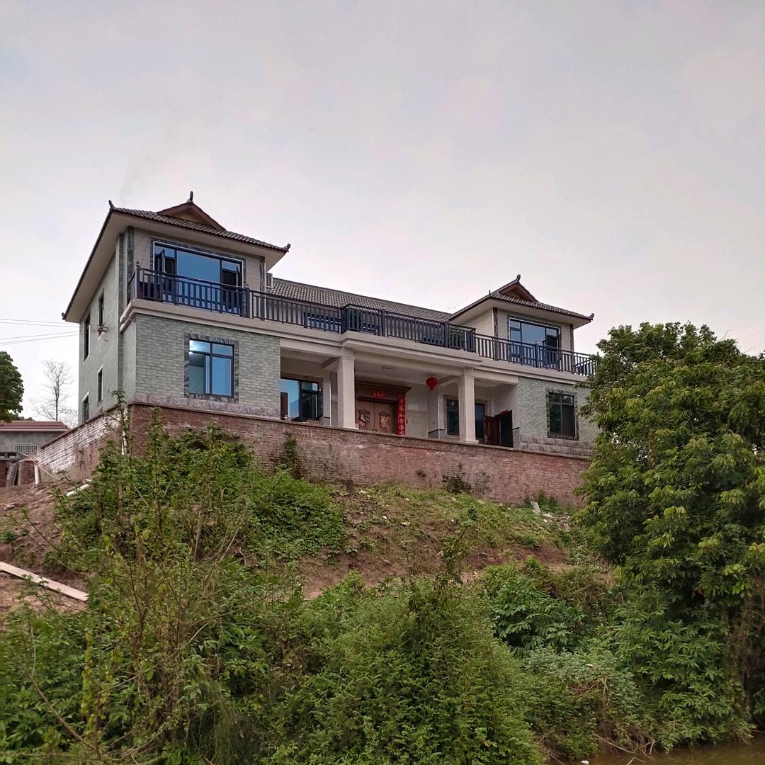 珍情歌小号