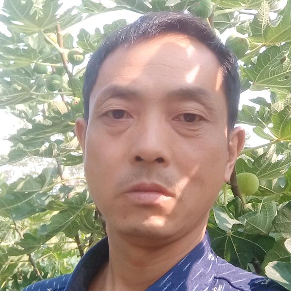 绿鹏生态农业明爱