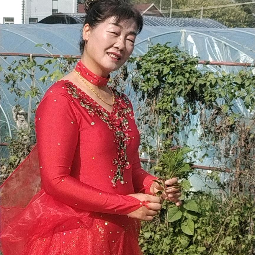 芜湖阿嫂家政服务有限公司