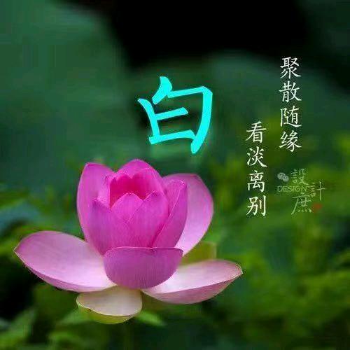 在难过好每一  天## SlfVUoZr